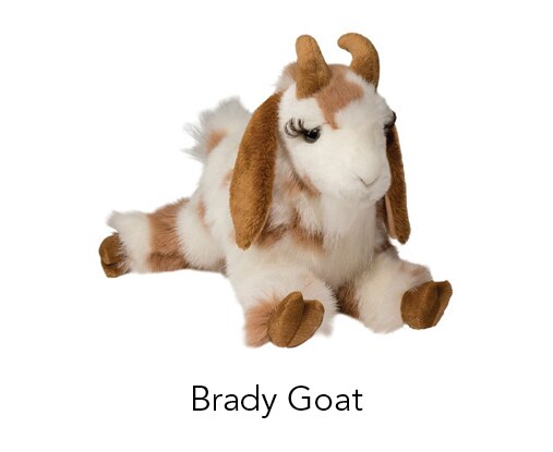 Brady Goat